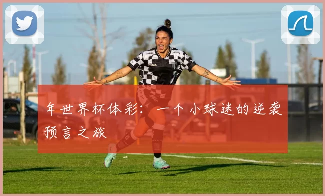 年世界杯体彩:一个小球迷的逆袭预言之旅
