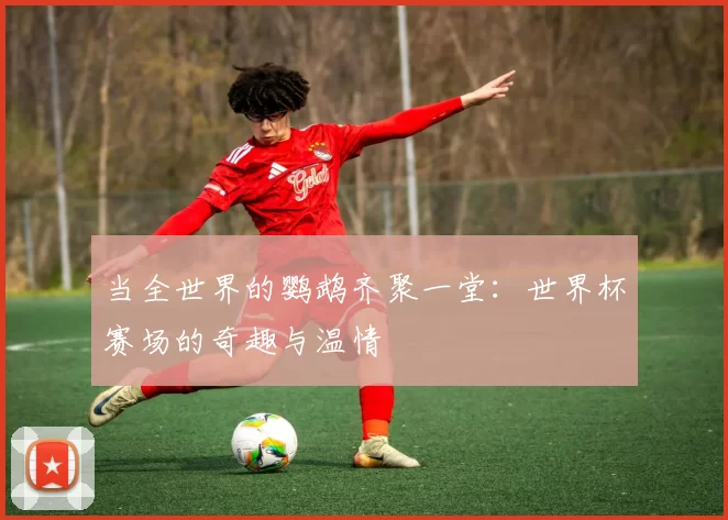 当全世界的鹦鹉齐聚一堂:世界杯赛场的奇趣与温情