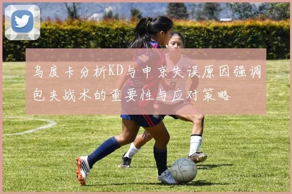 乌度卡分析KD与申京失误原因强调包夹战术的重要性与应对策略