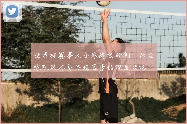 世界杯赛事大小球终极研判：结合球队风格与临场因素的深度攻略