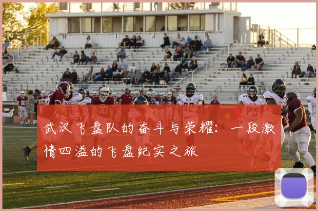 武汉飞盘队的奋斗与荣耀:一段激情四溢的飞盘纪实之旅
