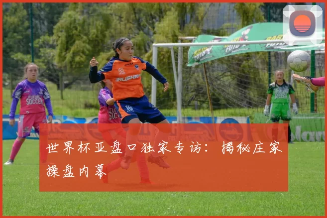 世界杯亚盘口独家专访:揭秘庄家操盘内幕