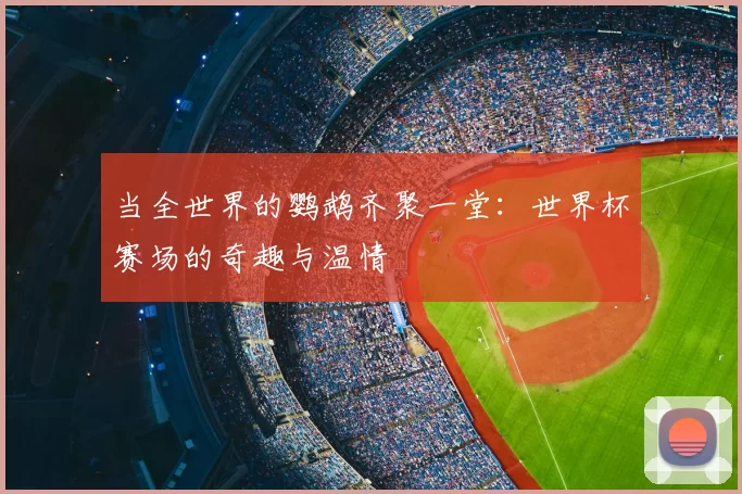 当全世界的鹦鹉齐聚一堂：世界杯赛场的奇趣与温情