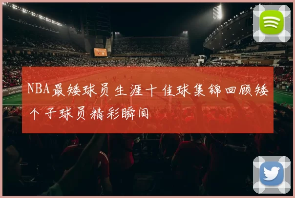 NBA最矮球员生涯十佳球集锦回顾矮个子球员精彩瞬间