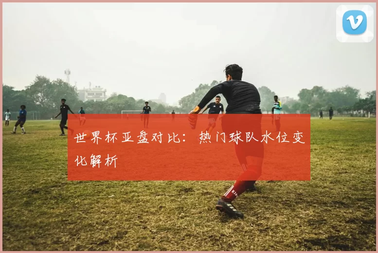 世界杯亚盘对比：热门球队水位变化解析