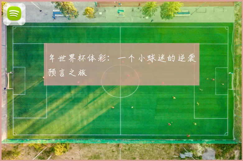 年世界杯体彩：一个小球迷的逆袭预言之旅